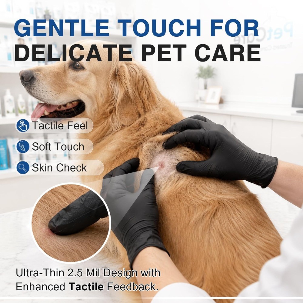 Disposable Black Nitrile Glove - Exam Glove Nitrile recension och pris
